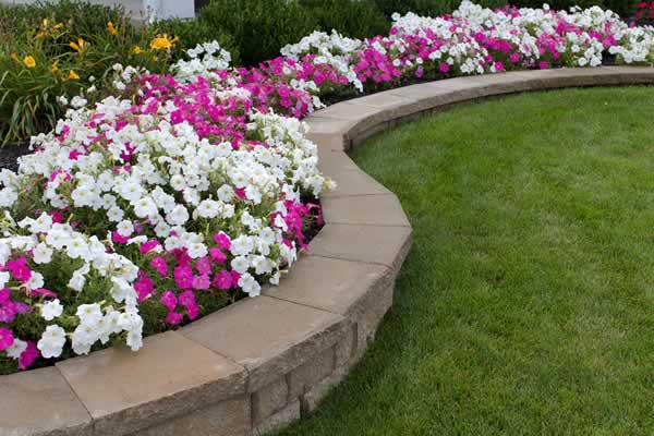 Hardscape and outdoor construction in Irvine backyard